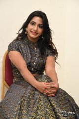 Kamna Singh At Thikka Movie Audio Launch